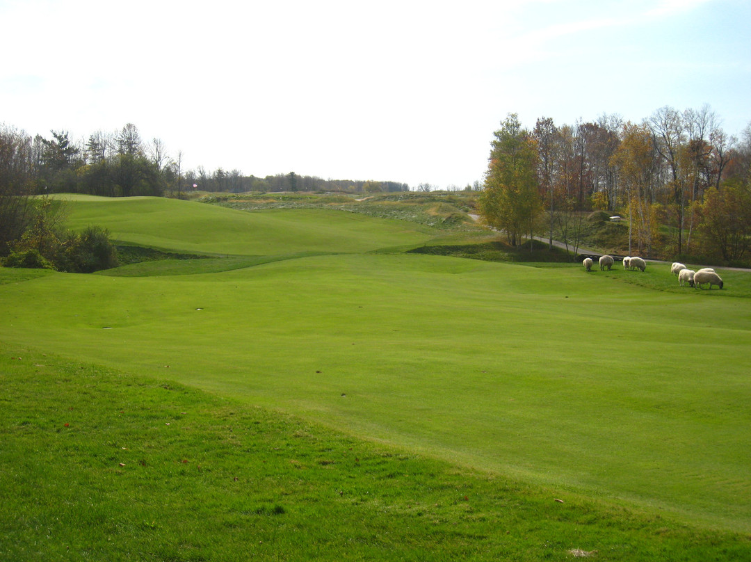 Whistling Straits Golf Course - Straits and Irish景点图片