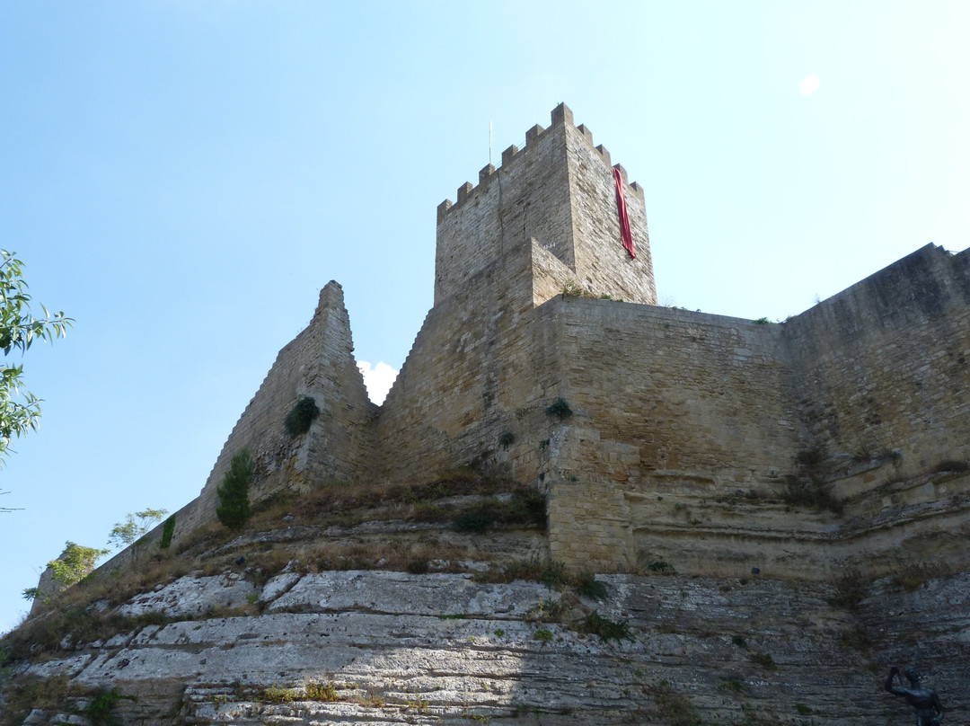 Castello di Lombardia景点图片