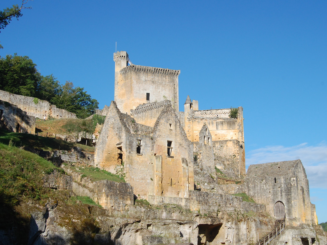 Chateau de Commarque景点图片