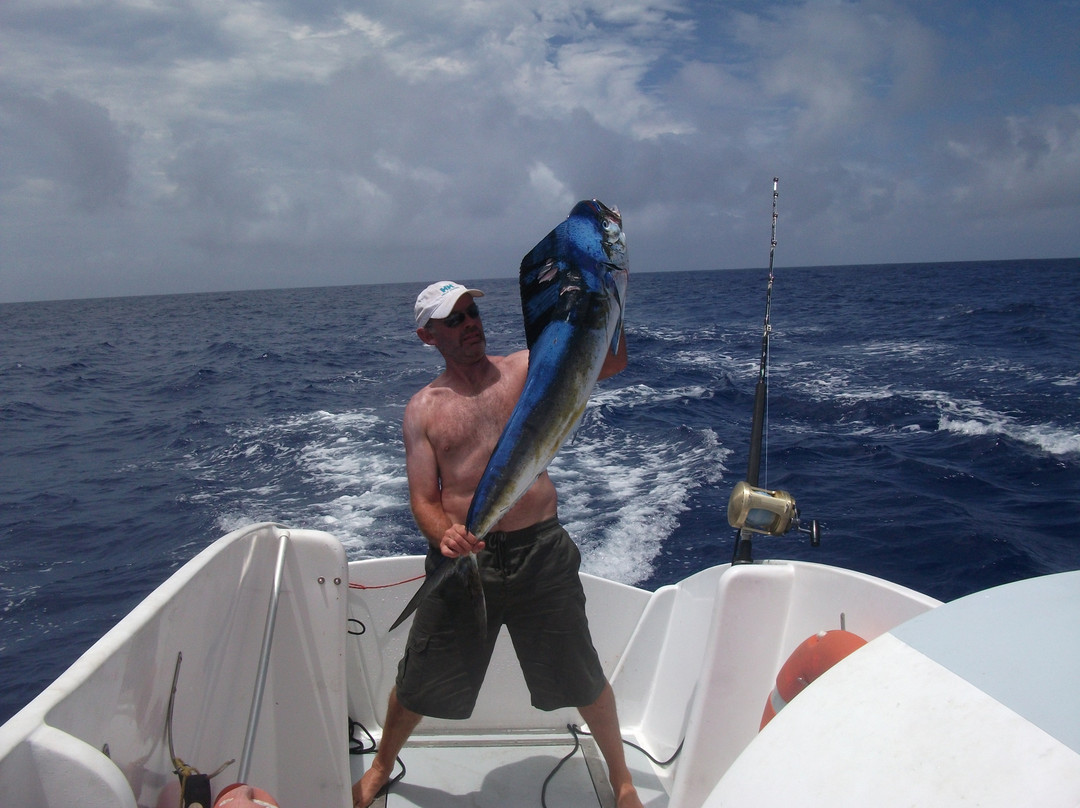 Strayline Fishing Charters-派希亚必去景点