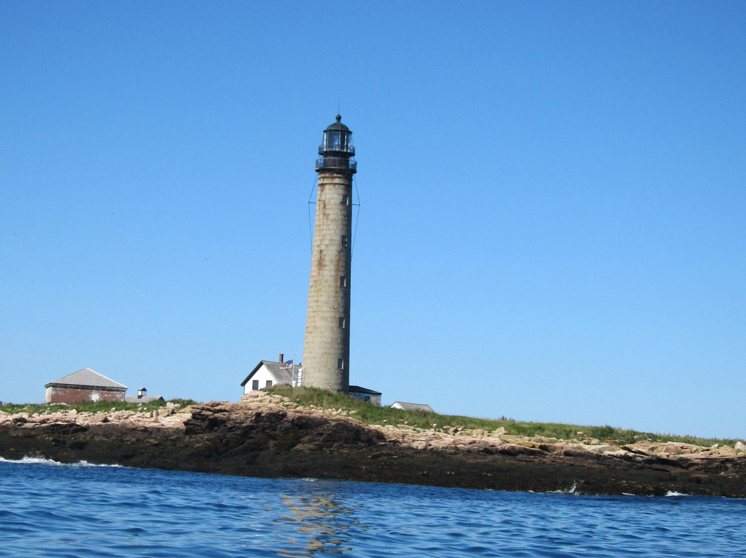 Robertson Sea Tours & Adventures景点图片