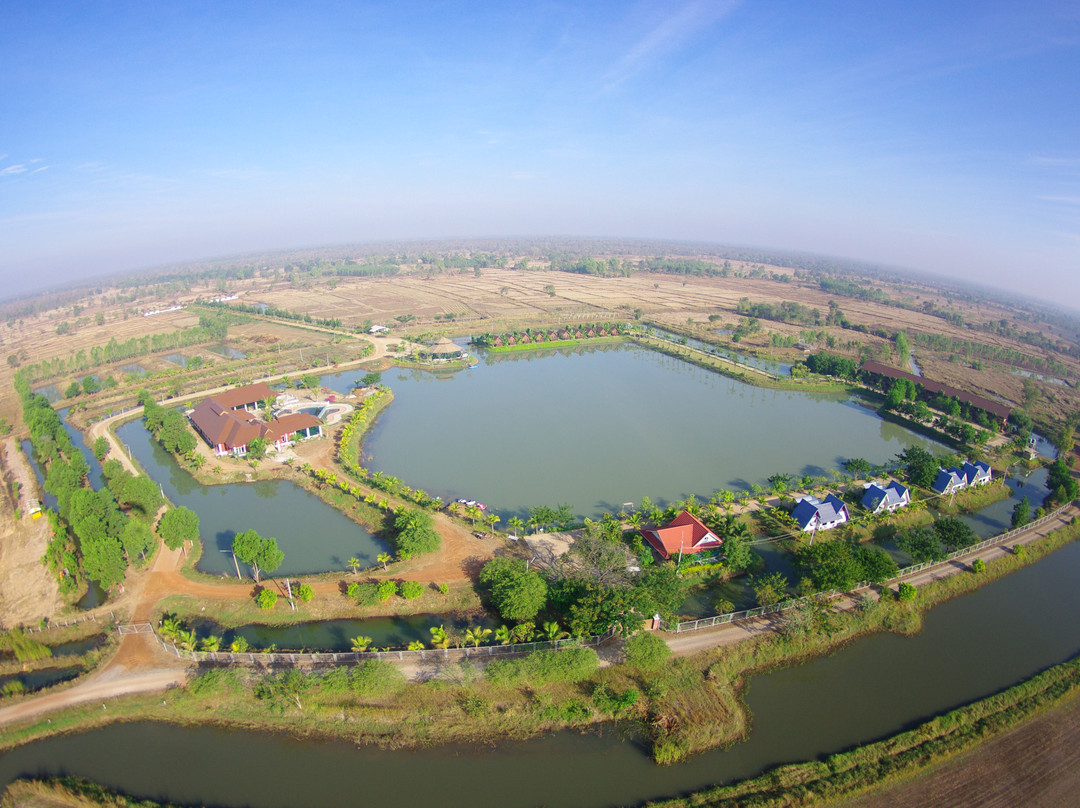 Bird's Paradise Skydiving景点图片