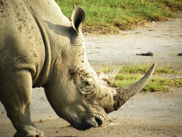 In2kenya景点图片
