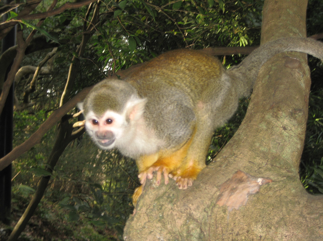 Nagasaki Bio Park景点图片