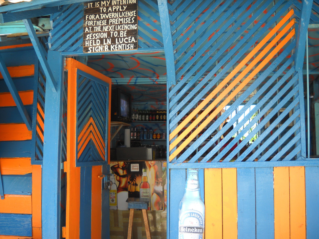 Antsman Tours Jamaica-内格里尔必去景点