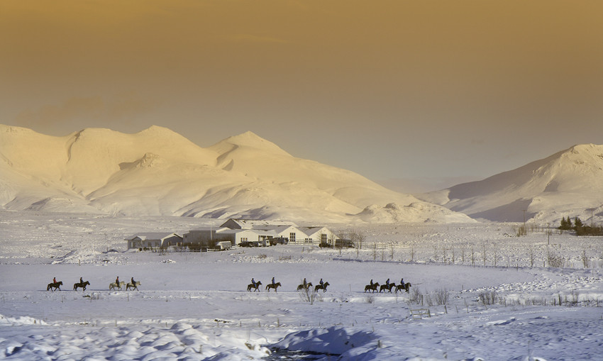 Laxnes Horse Farm-莫斯费德斯拜尔必去景点