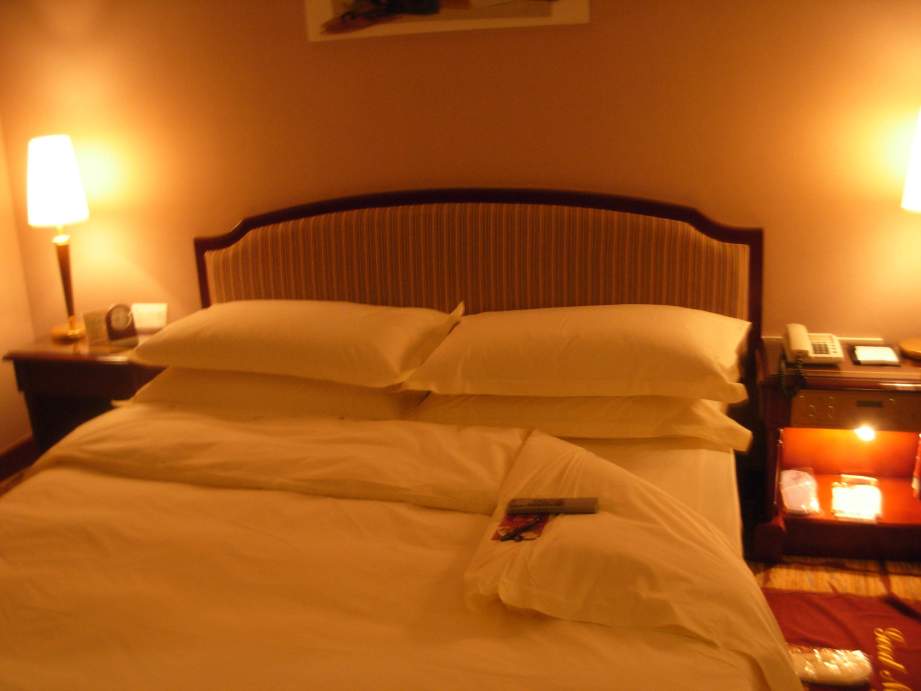 郑州未来大酒店-客卧