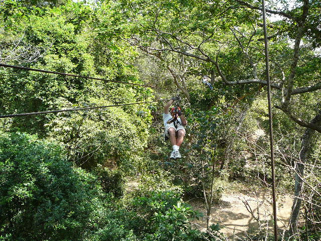 The Congo Trail Canopy Tour景点图片