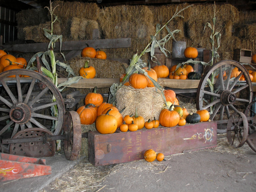 丛林农场-红鹿市必去景点