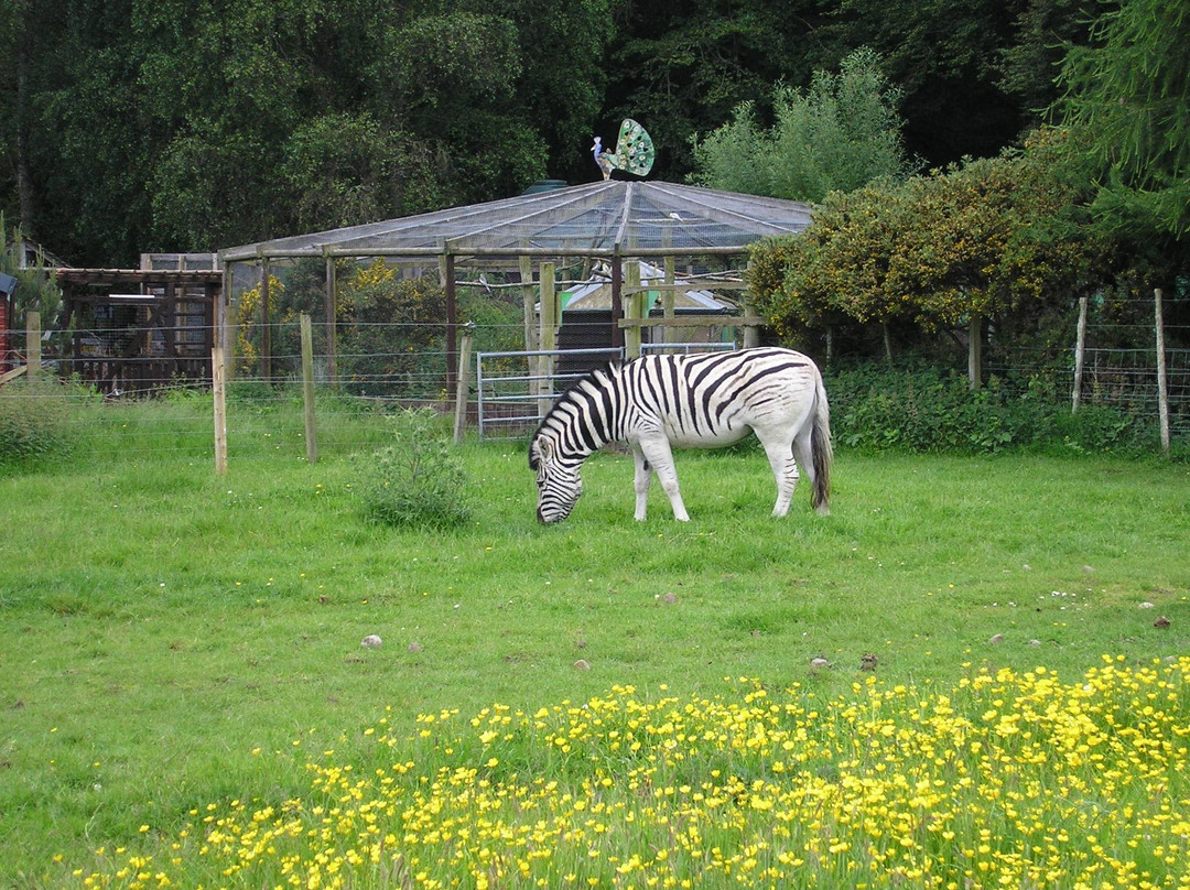 Black Isle Wildlife & Country Park景点图片