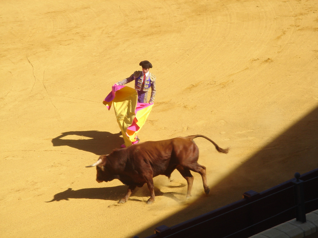 Plaza de Toros de Torremolinos-托雷莫里诺斯必去景点