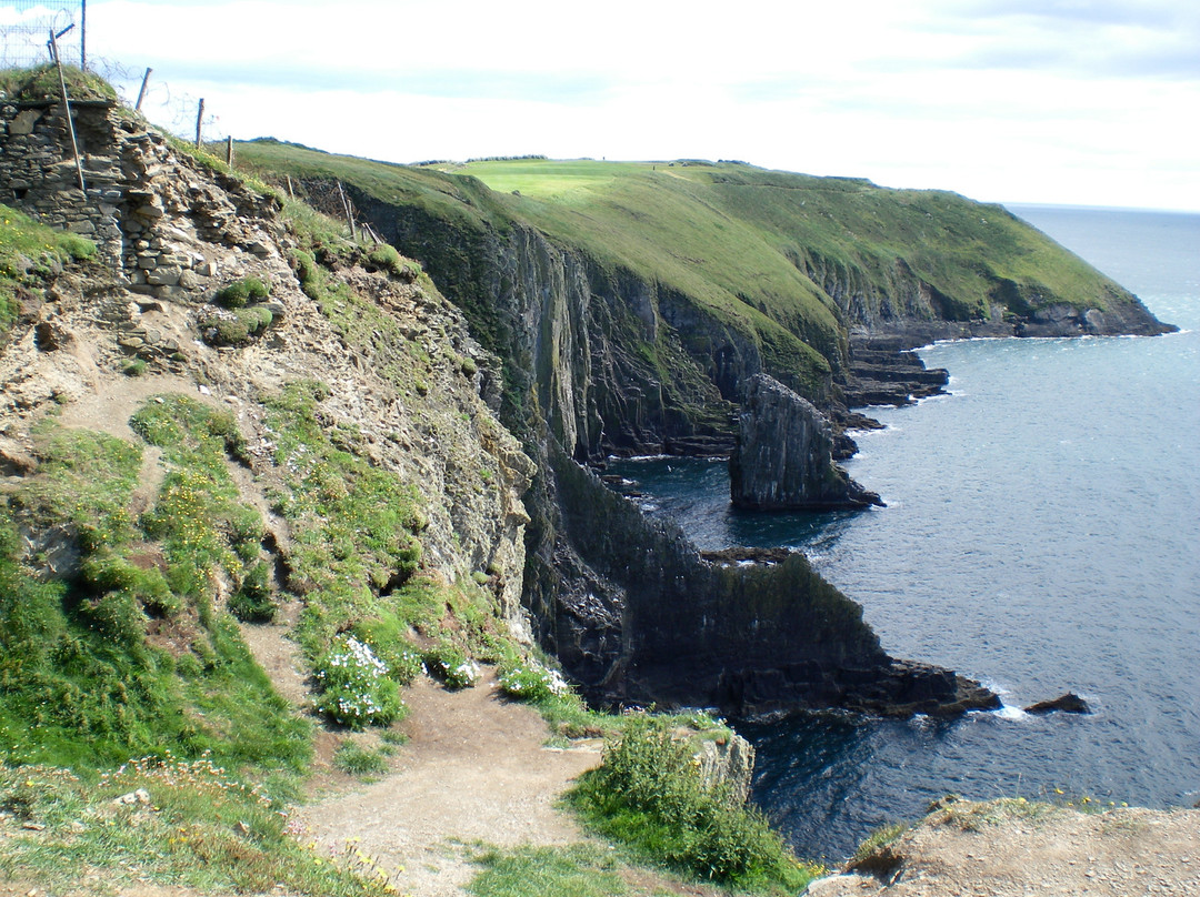 Glendine Irish Home主图