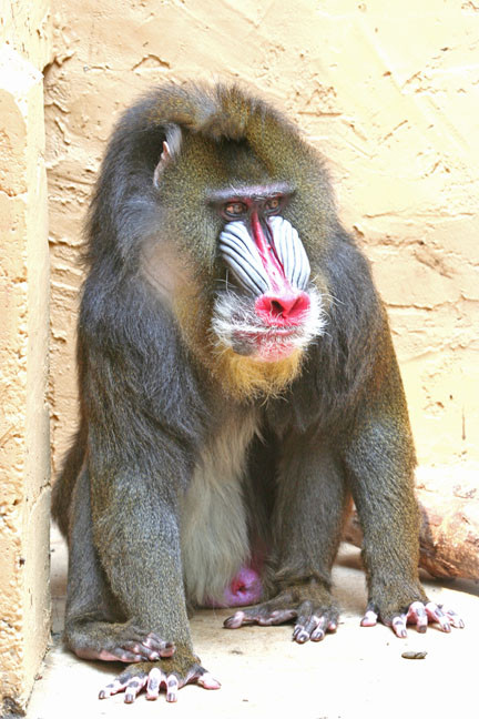 Catoctin Wildlife Preserve-Thurmont必去景点