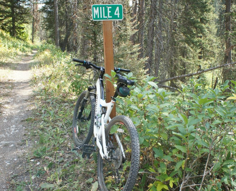 Game Creek Loop-杰克逊必去景点