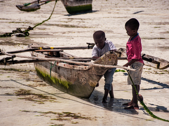 BEST Kilimanjaro CLIMB | HIKE | BIKE TREK | Tanzania Safaris from Moshi & Arusha