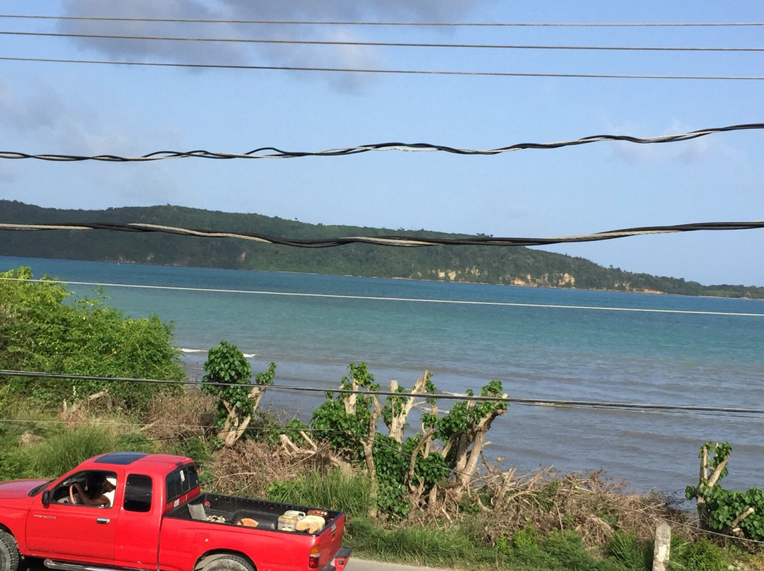 Fish Cove Restaurant and Sports Bar