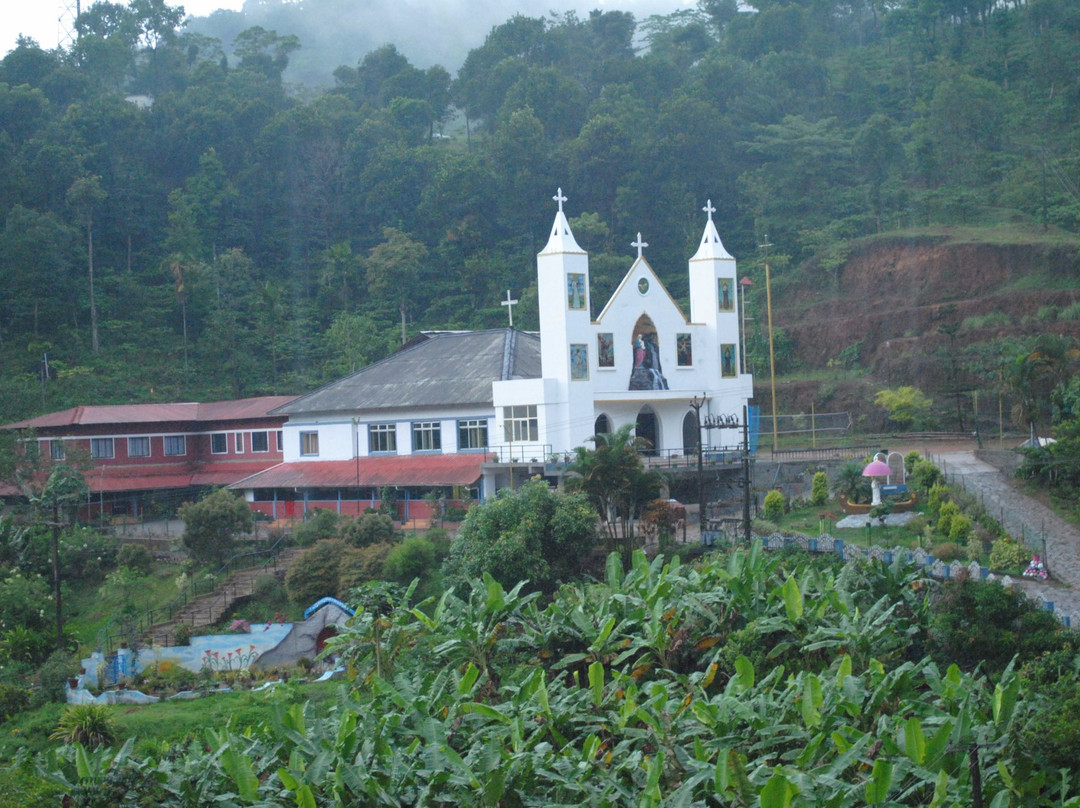 Thamarassery酒店住宿-Wayanad Pepper Gate
