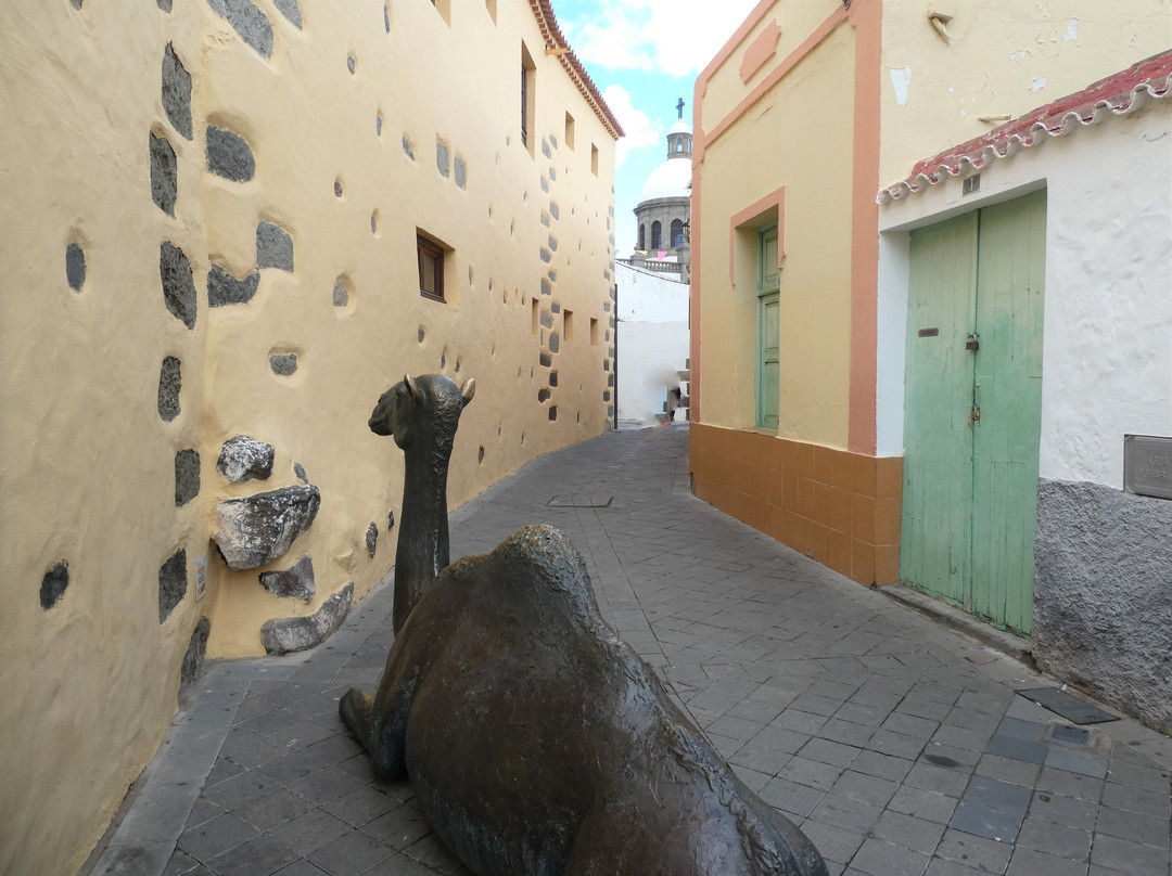 Estatua ''El camello''景点图片