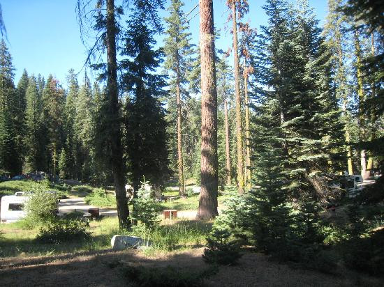 Dorst Campground