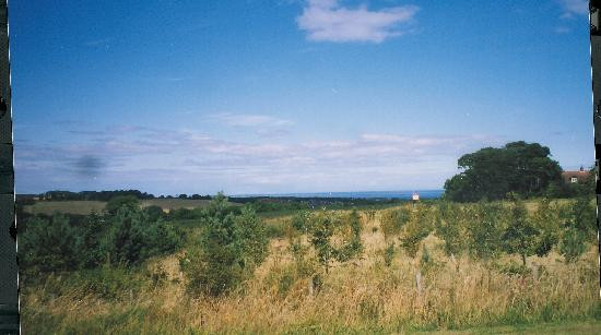 Whitsome旅游攻略图片