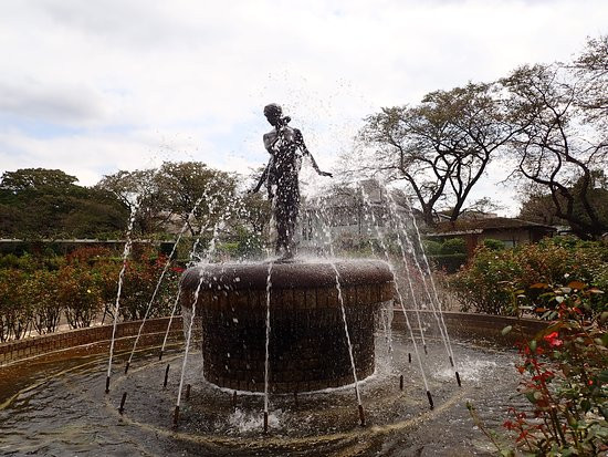 Satomi Park-市川市必去景点