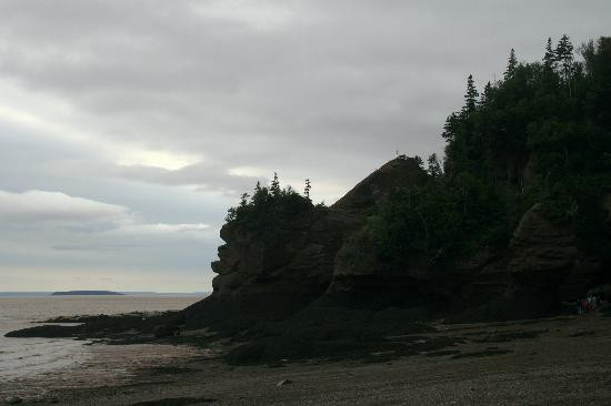 Hopewell Rocks-霍伯威尔角必去景点