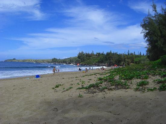 D.T. Fleming Beach Park景点图片