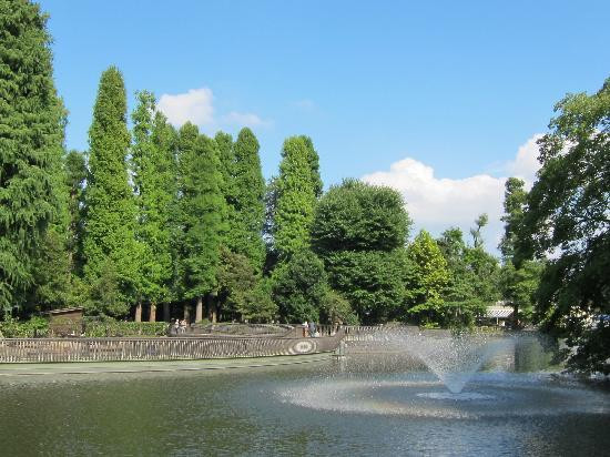 Inokashira Onshi Park-武藏野市必去景点