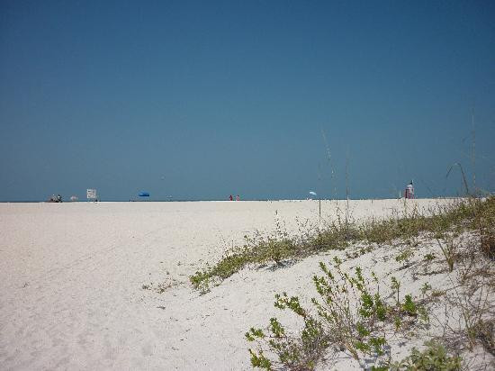 Sand Key Park-克利尔沃特必去景点