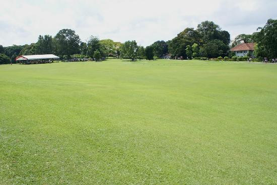 王宫-新加坡必去景点