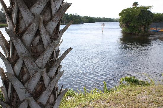 Manatee Park-迈尔斯堡必去景点