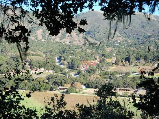 Garland Ranch Regional Park景点图片