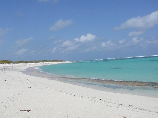 Anegada Island-Anegada必去景点
