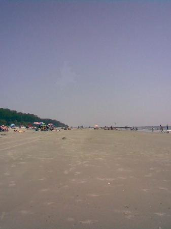 Hunting Island State Park景点图片