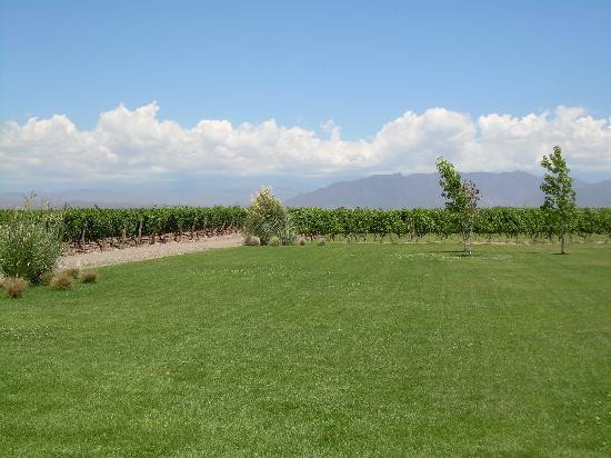 Bodega Ruca Malen景点图片