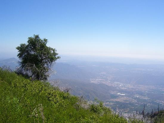 Palomar Mountain State Park景点图片