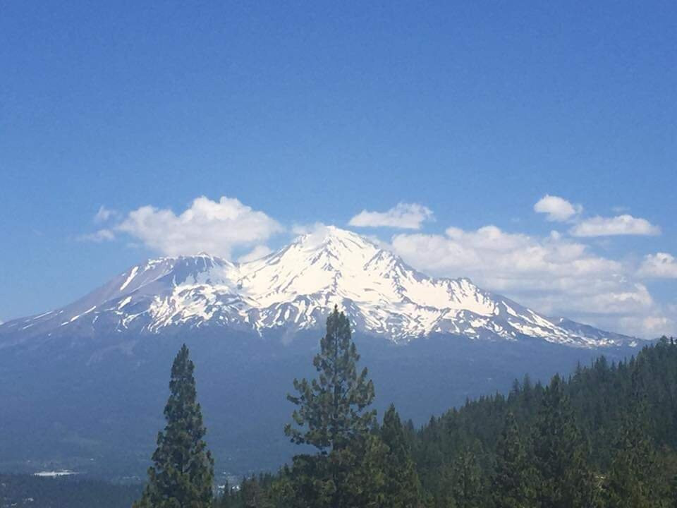 Shasta-Trinity National Forest景点图片