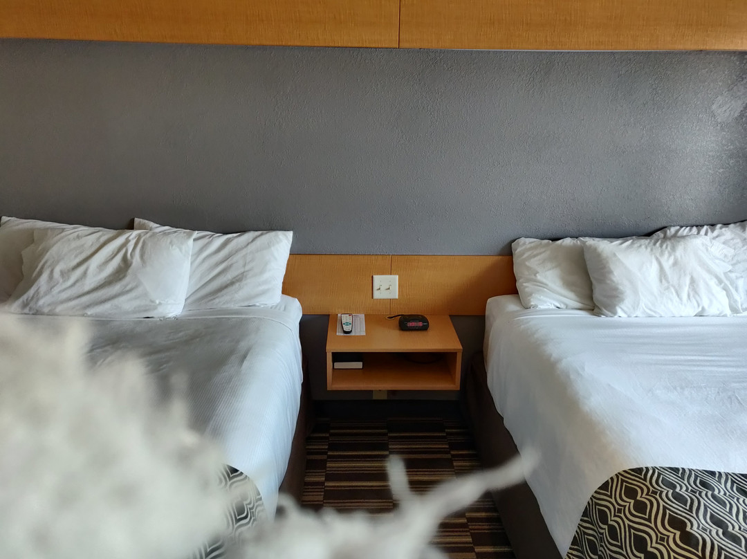 Microtel Inn & Suites by Wyndham Mankato主图