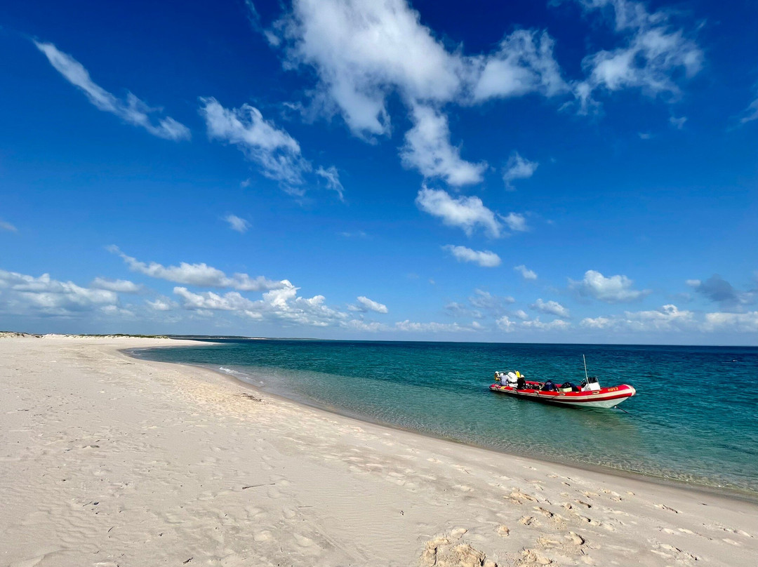 Odyssea Dive-Vilanculos必去景点