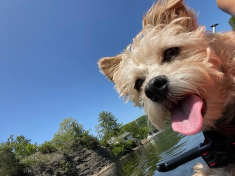 A Day Away Kayak Rentals-Kingston必去景点