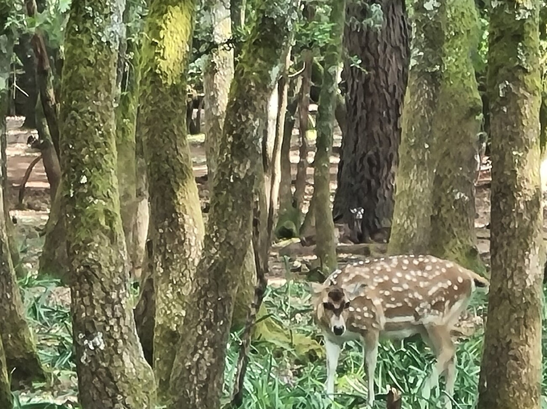 Marcelle Natureza-Outeiro de Rei必去景点