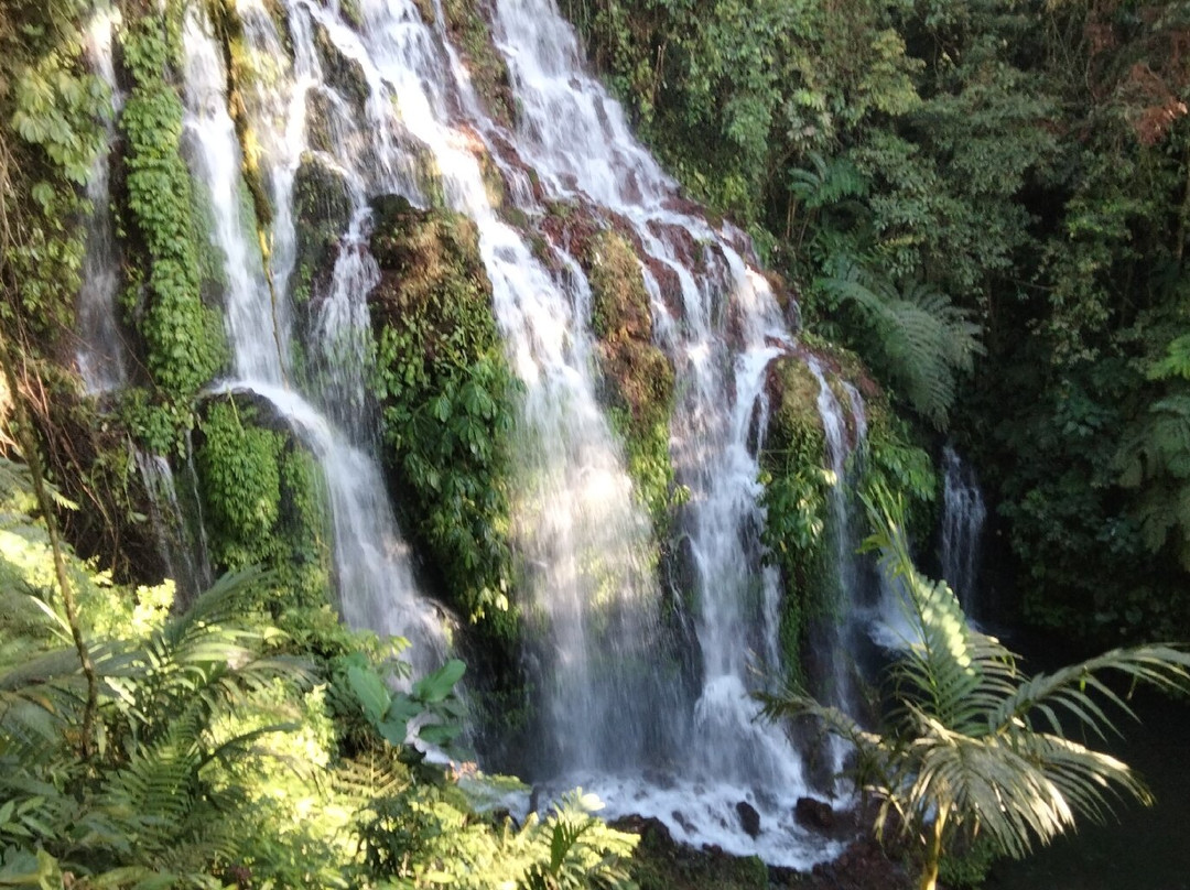 Banyu Wana Amertha Waterfall景点图片