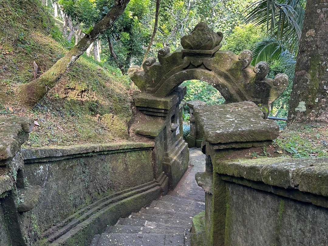 COMO Shambhala Retreat at COMO Uma Ubud景点图片