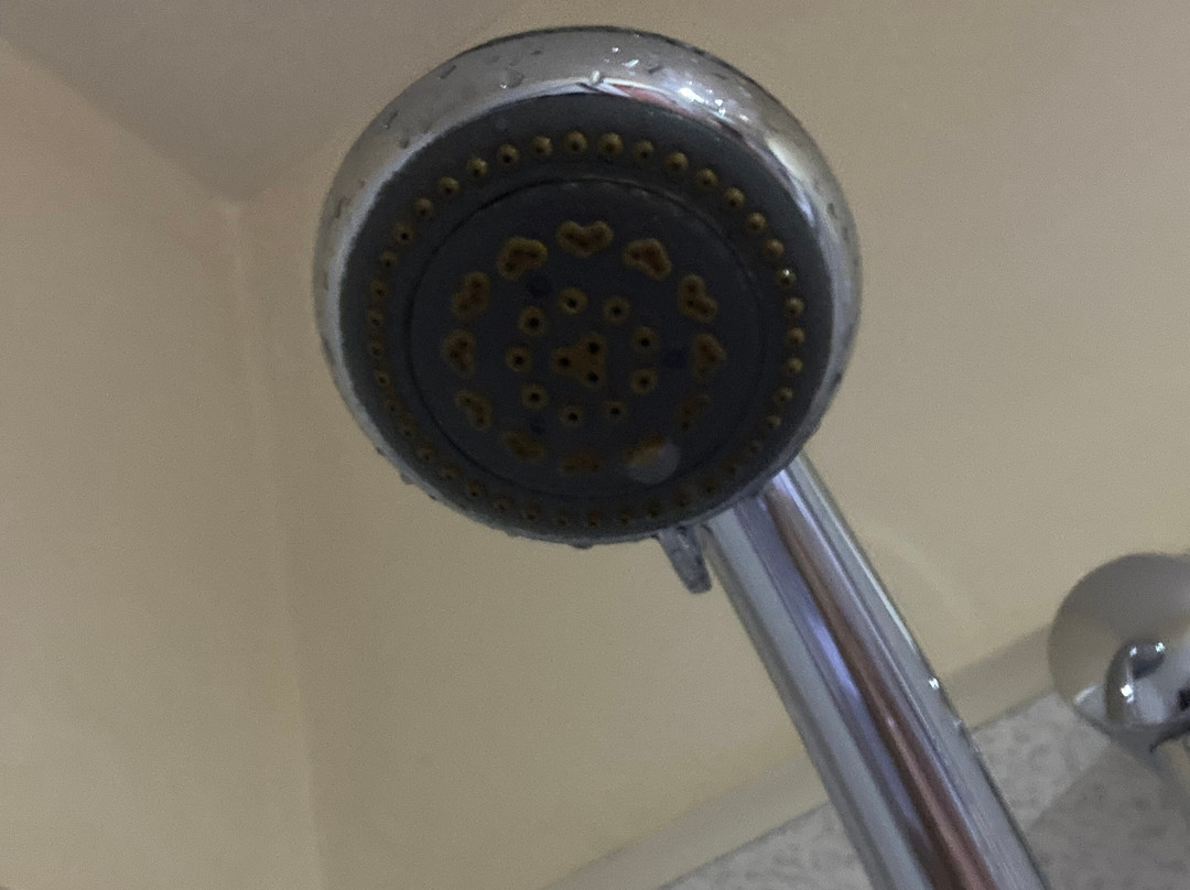 The Pearl Hotel主图