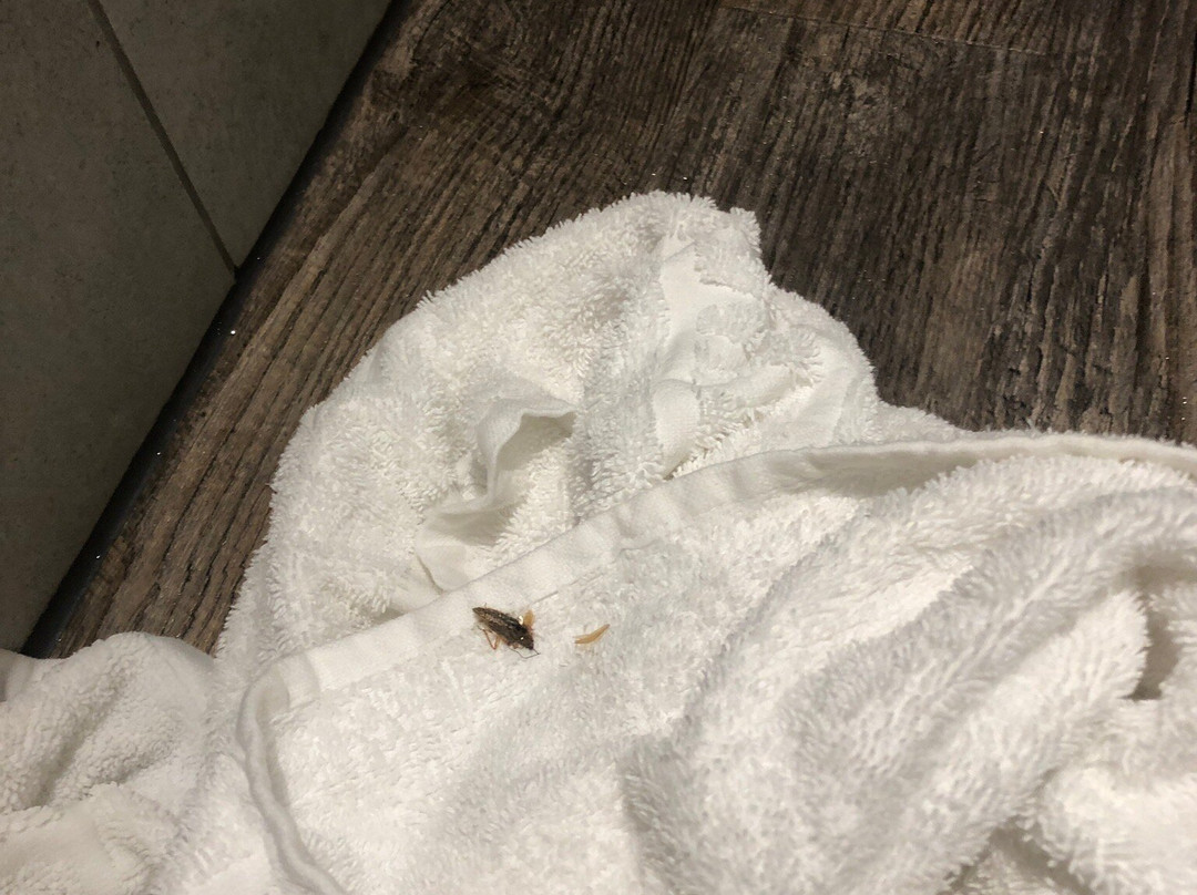 Abasto Hotel Feldmoching主图