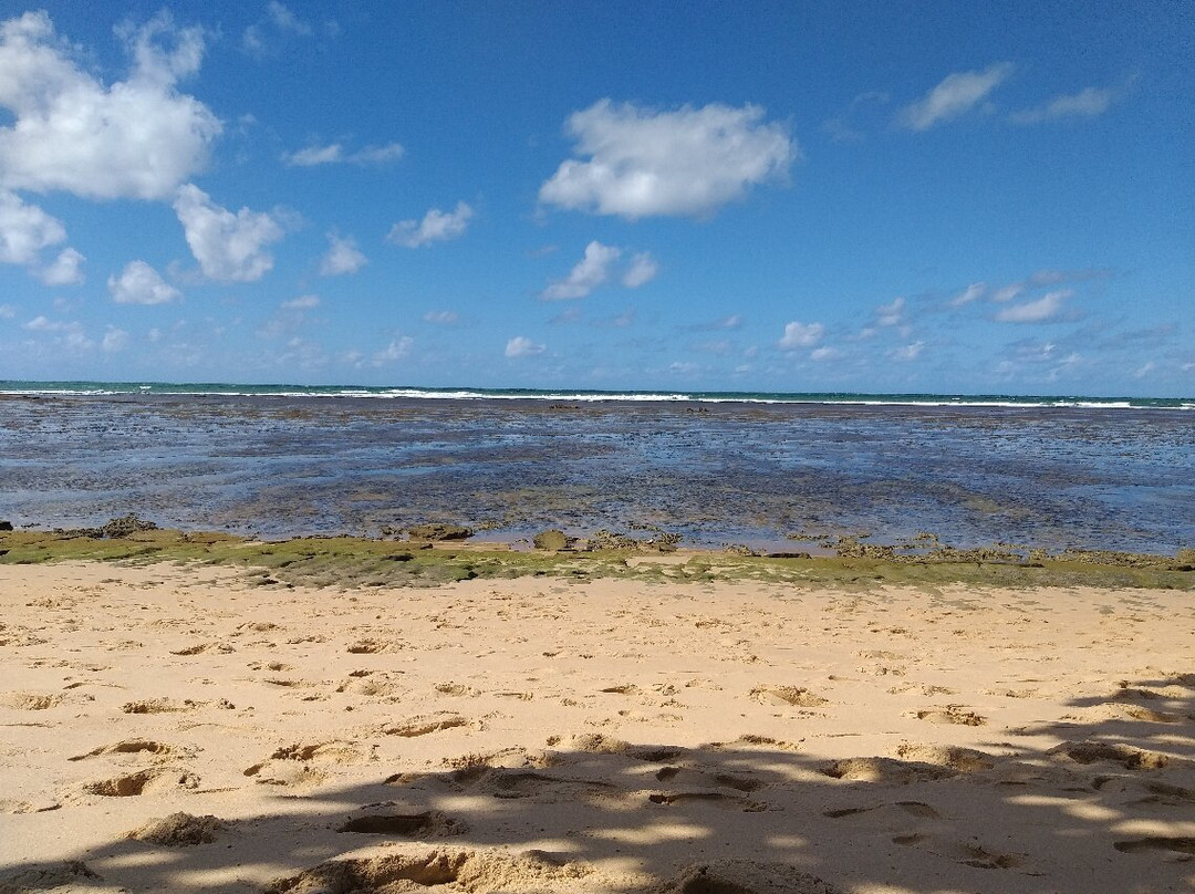 Hotel Pousada Tatuapara主图