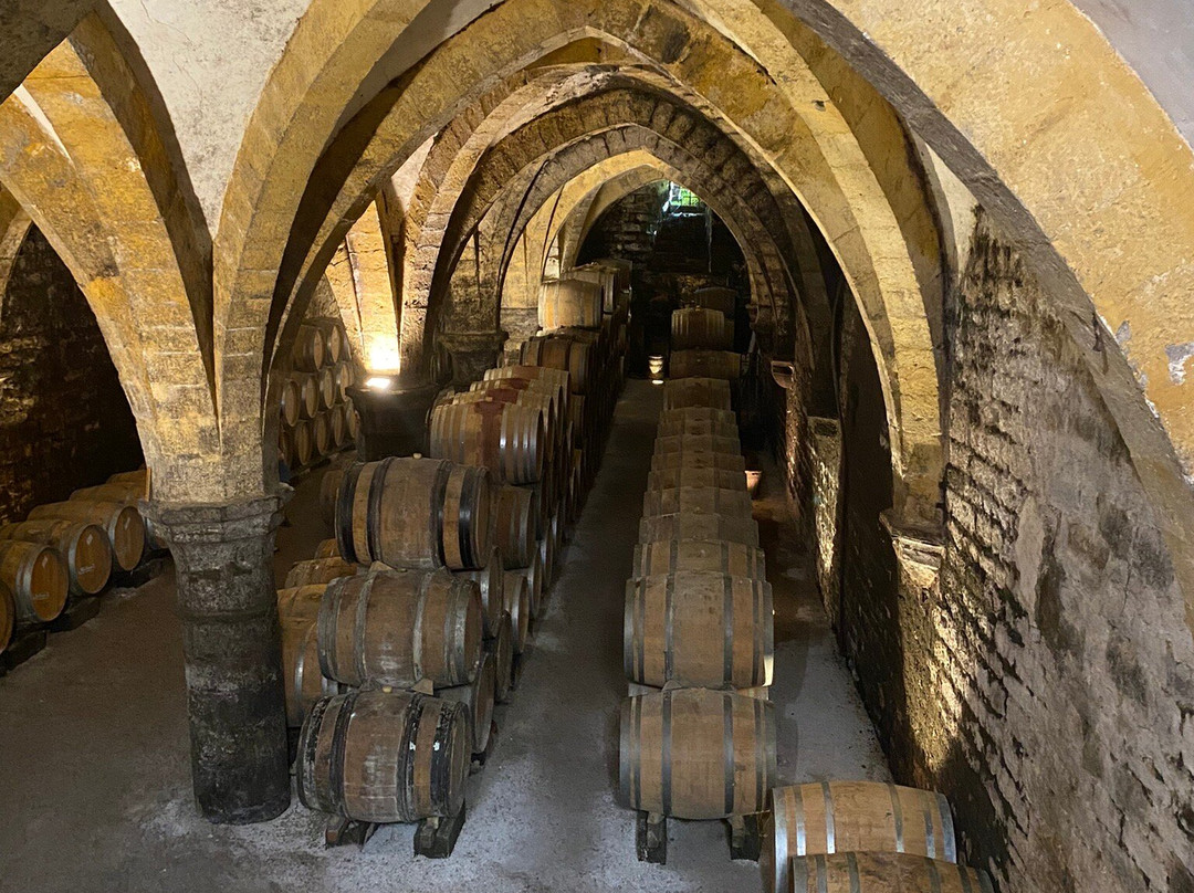 Jérôme Arnoux - Vins du Jura-Arbois必去景点