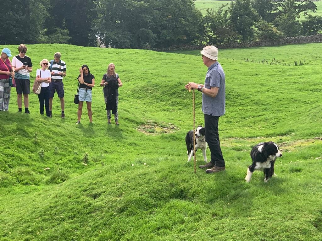 Working Sheepdog Demonstrations景点图片