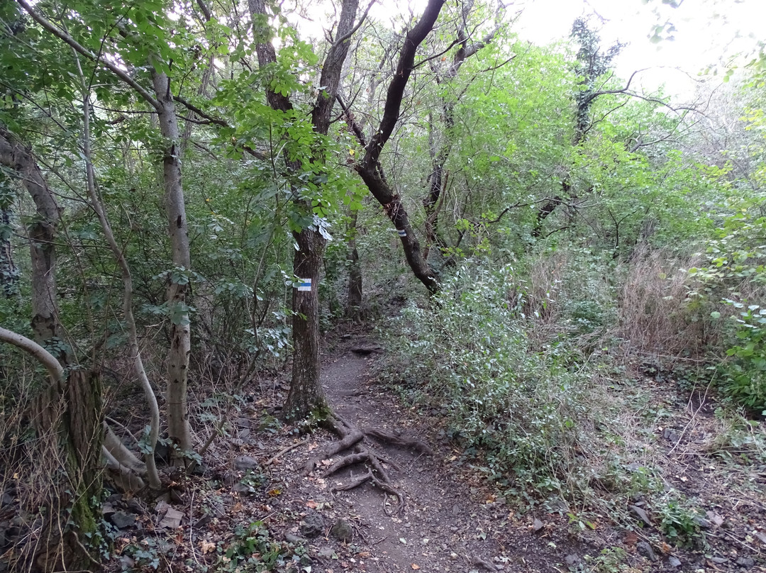 Csobánc Vára景点图片