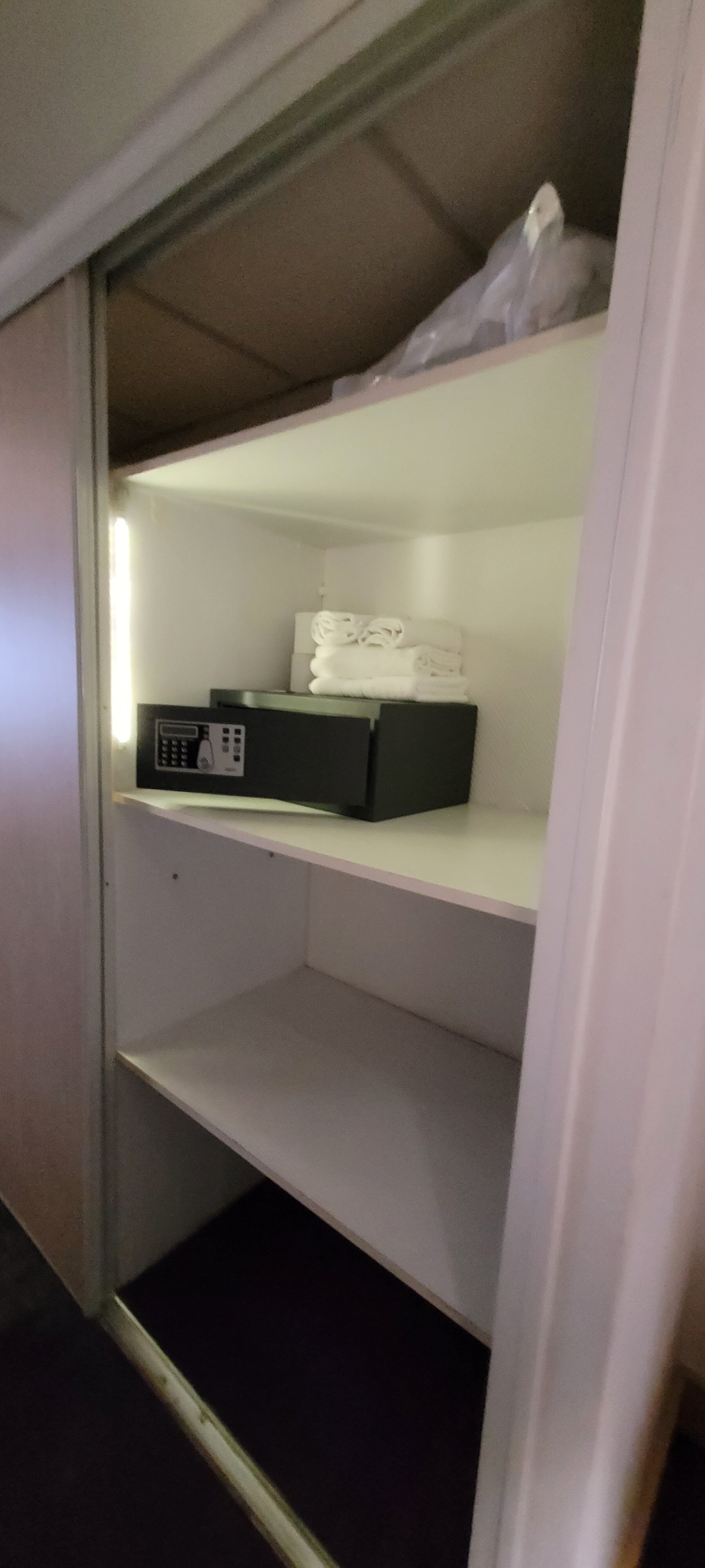 维莱特假日酒店-客卧